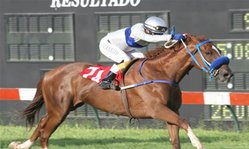 Contenido de la imagen La Hoja Seca venció de atropellada (Jockey Club de Perú)